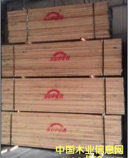 ���l(f��)�t��-SUPER��Ԕ��(x��)��B