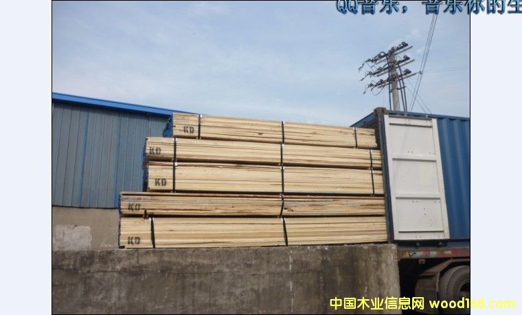 �S��ח����Z���