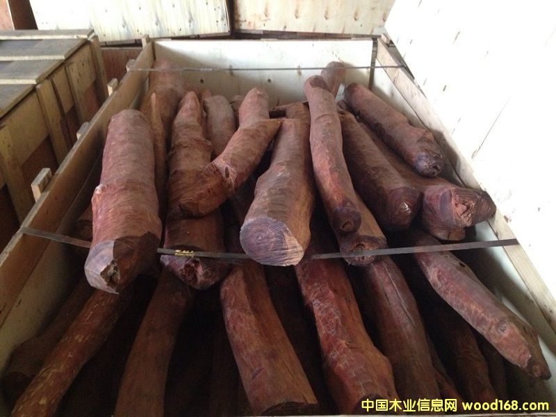 Ѫ��ľ��Ԕ��(x��)��B