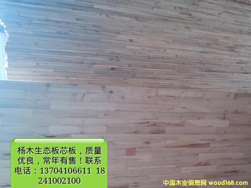 �P(y��ng)ľ���B(t��i)о��һ��(j��)��Ԕ��(x��)��B