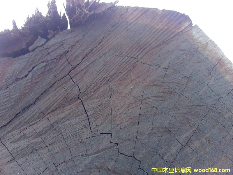 ���_�TŮ����̴��Ԕ��(x��)��B