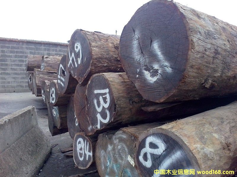 ���_�TŮ����̴��Ԕ��(x��)��B