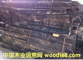 ��̴ �l�y��ľ��Ԕ��(x��)��B