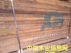 �����ں��ҵ�Ԕ����B