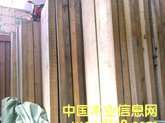 [��] ���_˹������