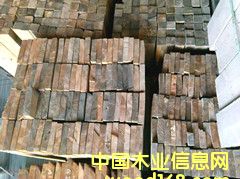 [��] ���_˹������