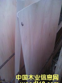 ��ľľƤ��Ԕ��(x��)��B