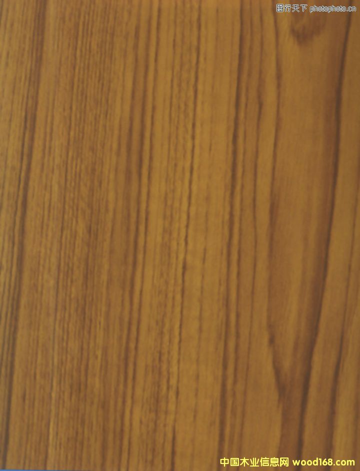 柚木的詳細(xì)介紹