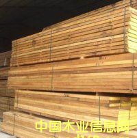 ����ľ/�S����/�t����/