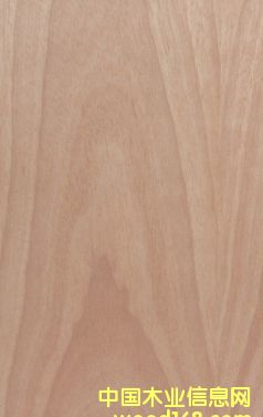 ���Ϙ�ľ��Ԕ��(x��)��B