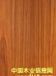 ������֦