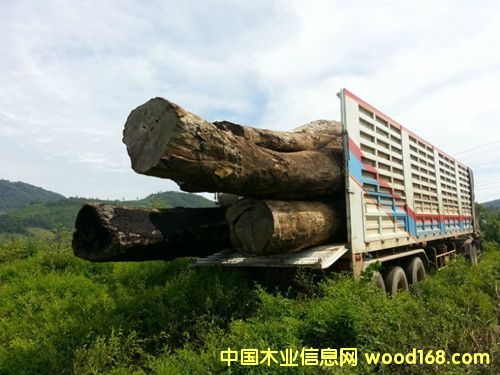 �ϓ뻨���Ԕ����B