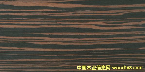 ��̴6DS��Ԕ��(x��)��B