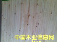 ��ɼľָ�Ӱ��Ԕ��(x��)��B