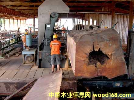 �����F��ľ