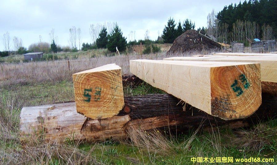 �������P̴ľ��Ԕ��(x��)��B