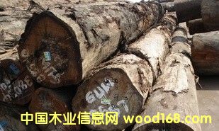 �M(j��n)�� ˮ�zľ