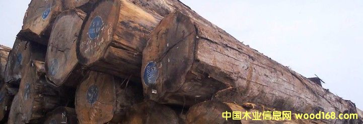 �M(j��n)�� ����˹ԭľ