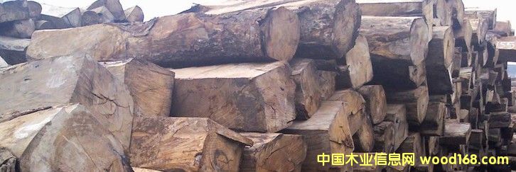 ����������̴ 