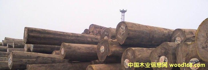 ��ľ������ľ��ԭľ