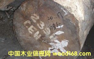 ���� Ӳ��ԭľ