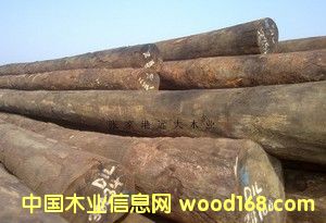 �M(j��n)�ڵڂ��� ԭľ