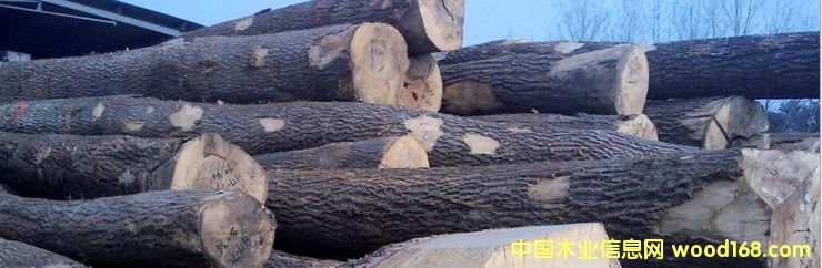 �M(j��n)�� ���� ԭľ��Ԕ��(x��)��B