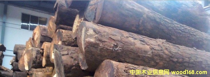 �M�� ���޻���ԭľ