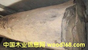 ���黨��ľԭľ���tľԭľ����ڏ�ԭľ