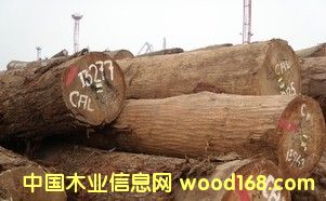 �M(j��n)�� ���ǹ� ����ľ