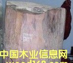 ӡ����ɽ̴��