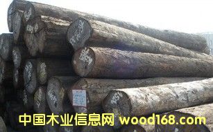 �M(j��n)�� ��ľ ԭľ��Ԕ��(x��)��B