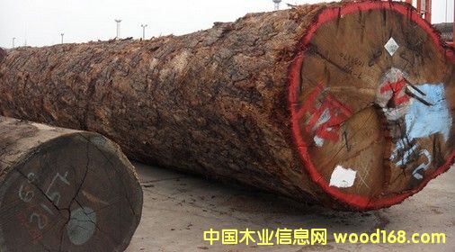 �M(j��n)�� ��Ʒ���󏽣��ͻ�ԭľ