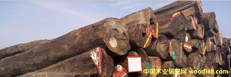 �M(j��n)�� ��܇���棨ԭľ