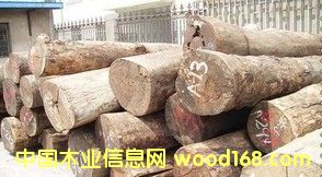 ���黨��ľԭľ����ڏ�1�����Ҿ�����tľ