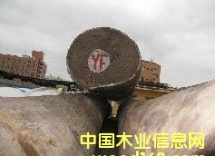 �M(j��n)�� �t�Fľ ԭľ