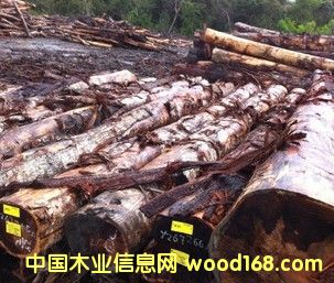 ���~��˼�R����˼ľ