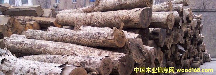 �Ĵ� ��z�ľ ԭľ