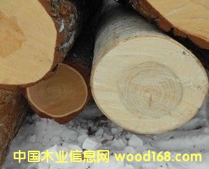 ���_˹��ľԭľ