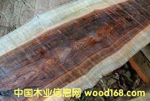 ���l(f��)����(y��ng)����ľ��������ľ������̴