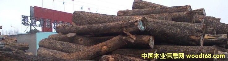 �M�� ̴�� ԭľ