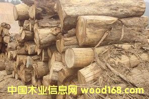 �S����ľ��