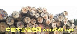 ���l(f��)�N�ۃ�(y��u)�|A����Ʒ�|��ԭľ