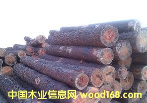 ������ԭľ