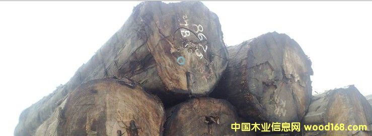 �M(j��n)�� ����ľ