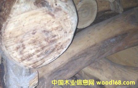 ����̴��ԭľ