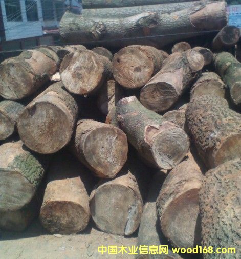 ��ͩԭľ��Ԕ����B