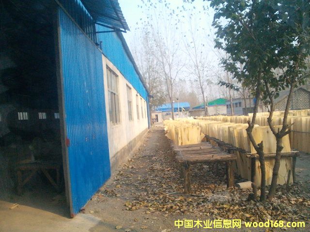 ��ľ�AоƤ��Ԕ��(x��)��B