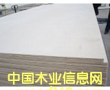 ����˹��ľ�z�ϰ��Ԕ��(x��)��B