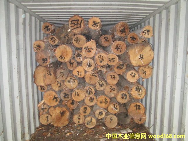 �ט�ԭľ��Ԕ��(x��)��B